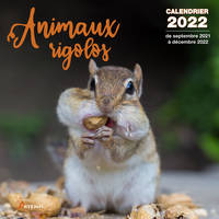 Calendrier Animaux rigolos 2022
