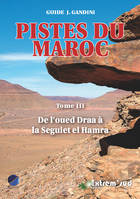 Pistes du maroc tome 3 (2013) de l'oued draa a la seguiet el hamra