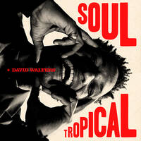 Soul Tropical (vinyl)